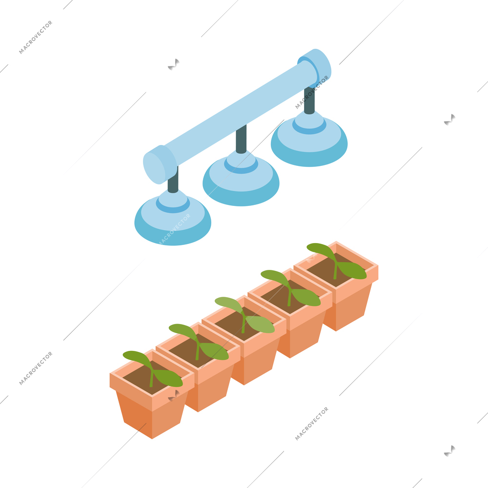 Isometric greenhouse composition with isolated plant cultivation icon on blank background vector illustration