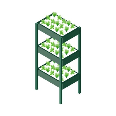 Isometric greenhouse composition with isolated plant cultivation icon on blank background vector illustration