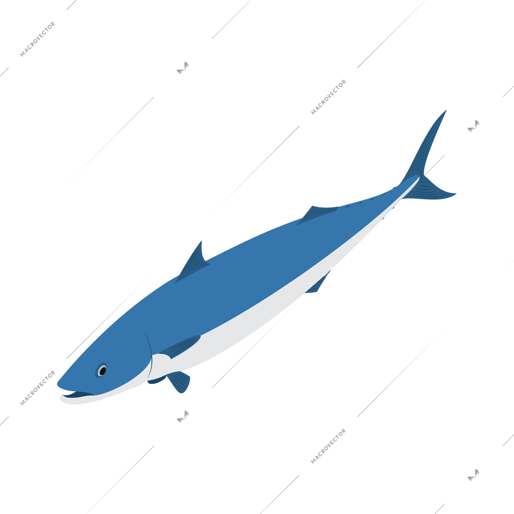 Fishing seafood isometric composition of isolated fishery icons on blank background vector illustration