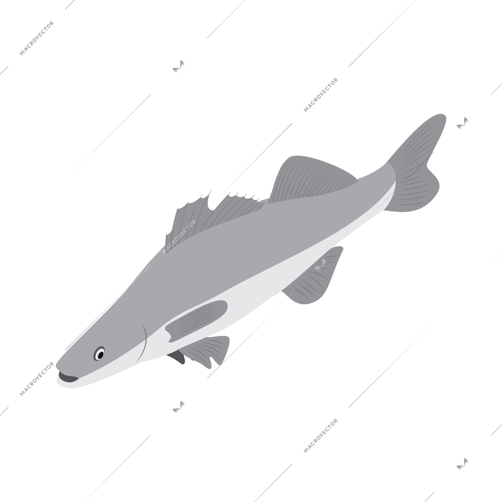 Fishing seafood isometric composition of isolated fishery icons on blank background vector illustration