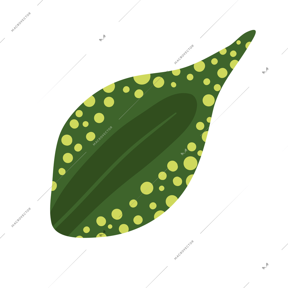 Tropical plants composition with isolated icon of exotic plant on blank background vector illustration