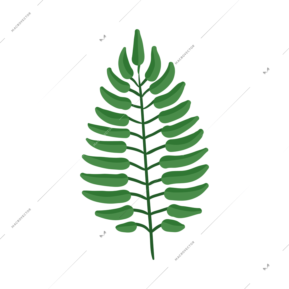 Tropical plants composition with isolated icon of exotic plant on blank background vector illustration