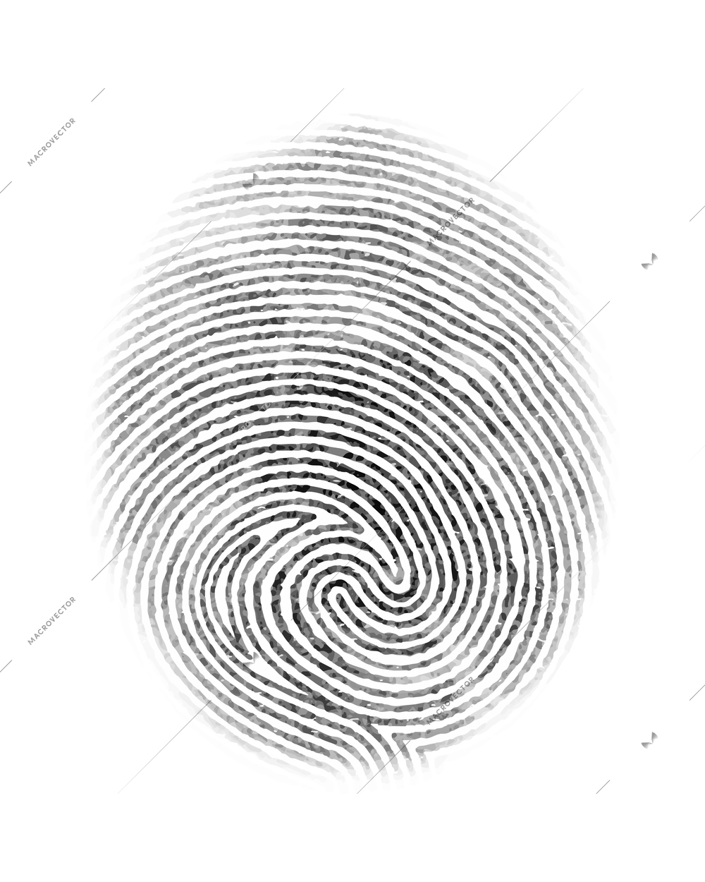 Fingerprint  personal identity and insignia symbol isolated on white background vector illustration