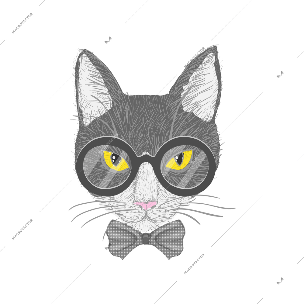 Hipster cat with glasses bow and yellow eyes isolated vector illustration