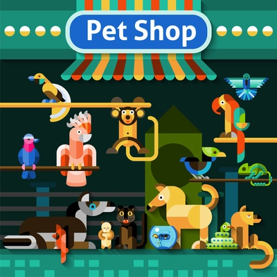 Pet shop background with pets domestic birds snake and iguana vector illustration