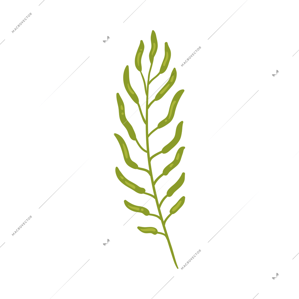 Tropical plants composition with isolated icon of exotic plant on blank background vector illustration