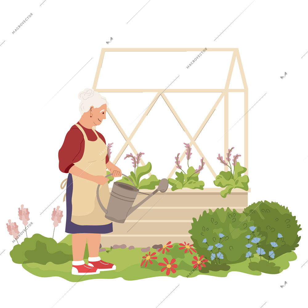 Home gardening flat composition with view of old woman watering flowers and plants on blank background vector illustration