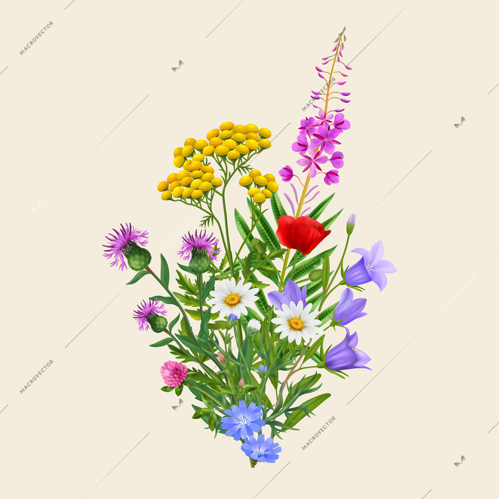 Realistic colorful wild flower bouquet on sepia background vector illustration