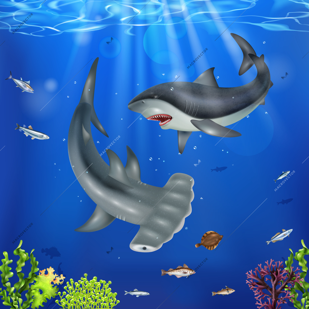 Realistic shark fishes in the sea on deep underwater background vector illustration