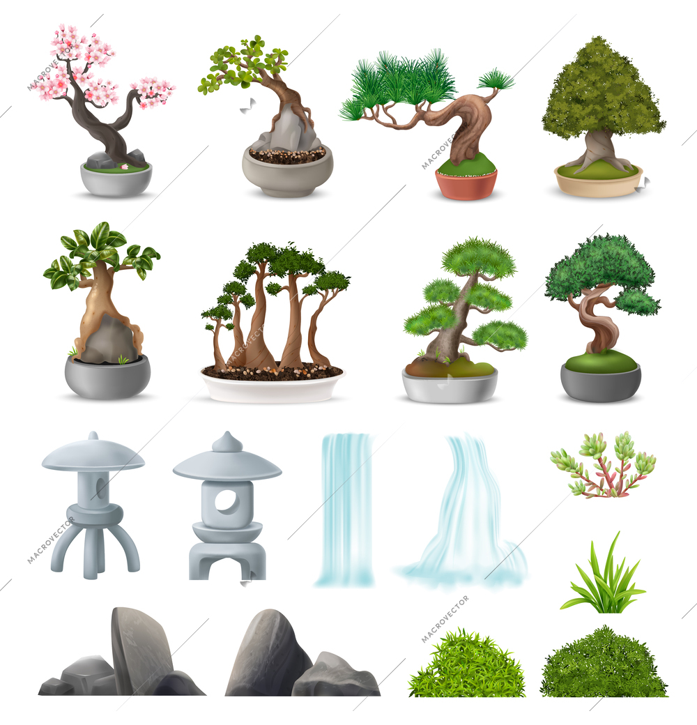 Realistic japanese bonsai tree icons set with natural stone garden elements isolated vector illustration