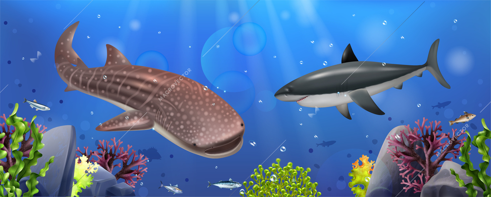 Realistic shark composition with dangerous predators on underwater background vector illustration