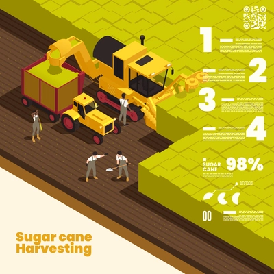 Sugar cane harvesting isometric background depicting collecting process and world statistics of sugar production vector illustration