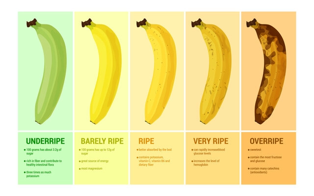 Banana flat set with infographic compositions of text captions and images showing ripeness levels of fruit vector illustration