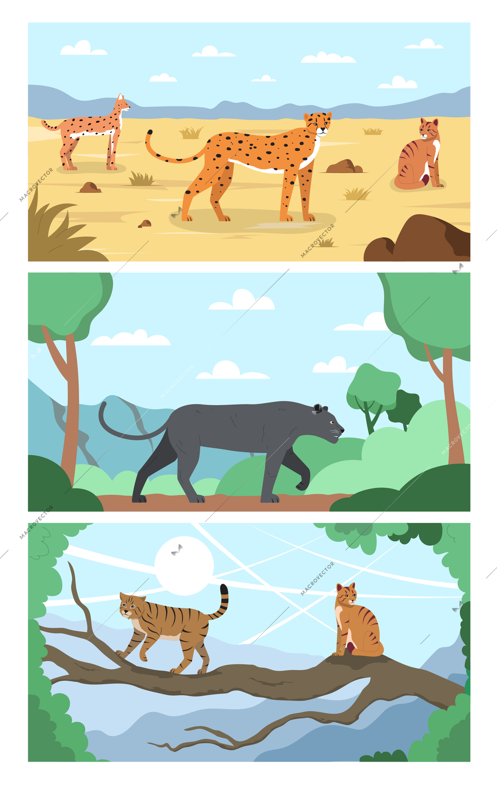 Wild cats flat set of three horizontal compositions with tropical sceneries and felines in natural habitat vector illustration