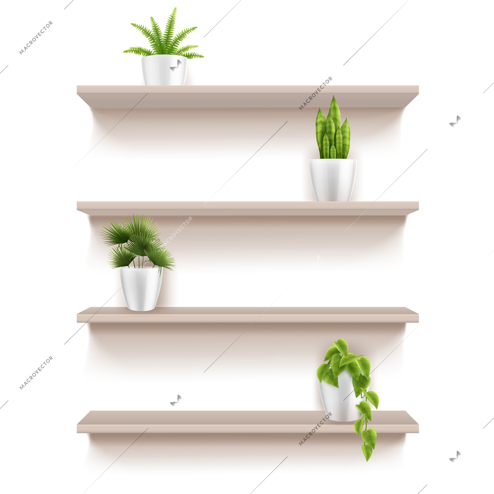 Modern furniture elements realistic set of four wooden shelves with green houseplants in pots vector illustration