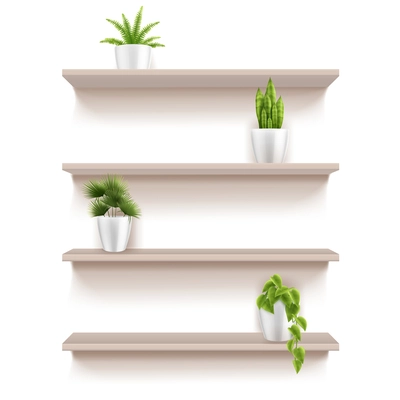 Modern furniture elements realistic set of four wooden shelves with green houseplants in pots vector illustration