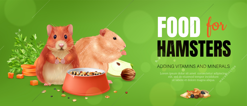 Realistic hamster poster with funny pet and his accessories isolated vector illustration