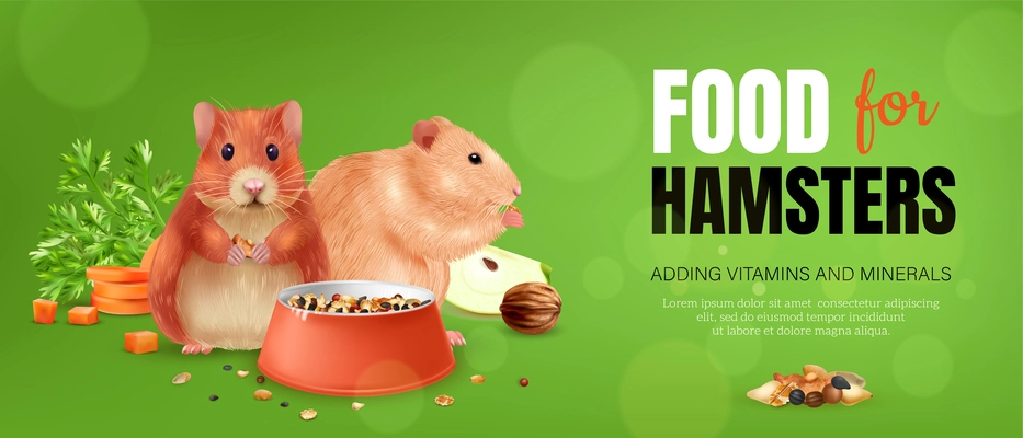 Realistic hamster poster with funny pet and his accessories isolated vector illustration