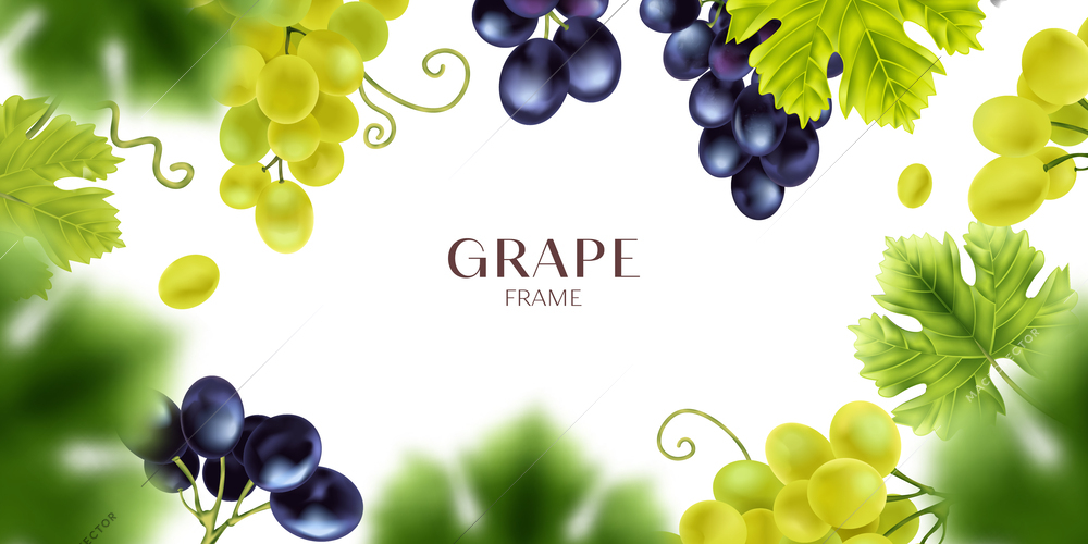 Realistic grape composition of empty space with editable ornate text surrounded by clusters of grapes leaves vector illustration
