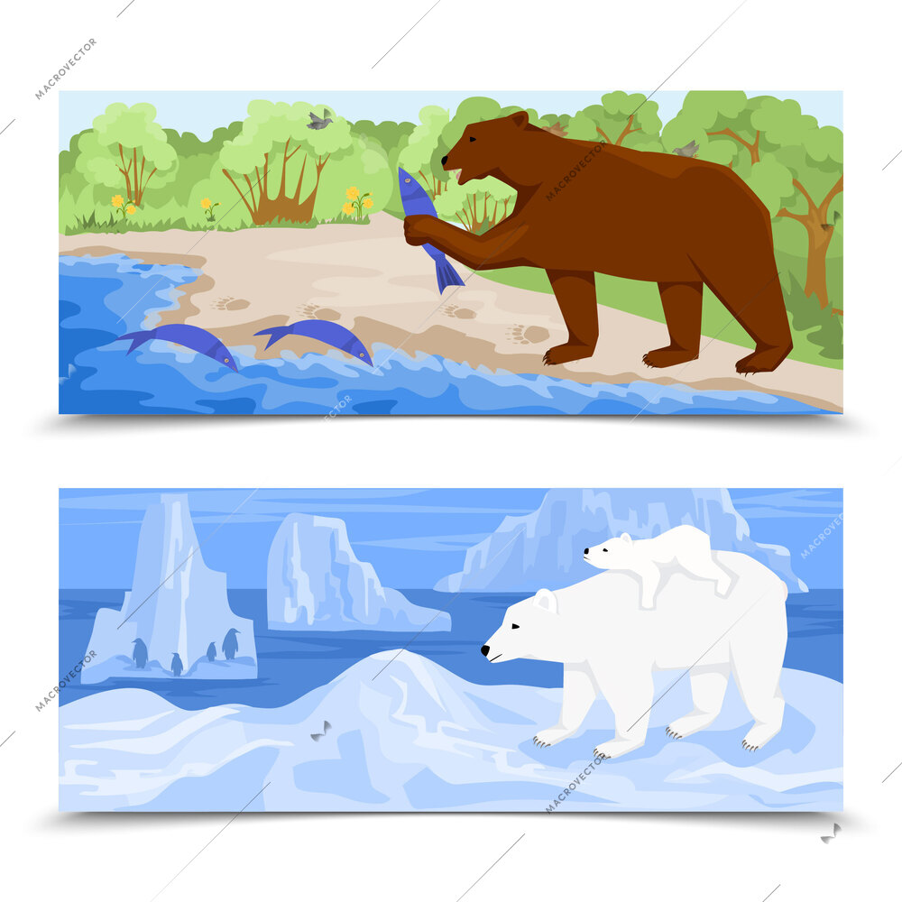 Two watercolour isolated horizontal banners with grizzly and polar bear in typical living environment flat vector illustration