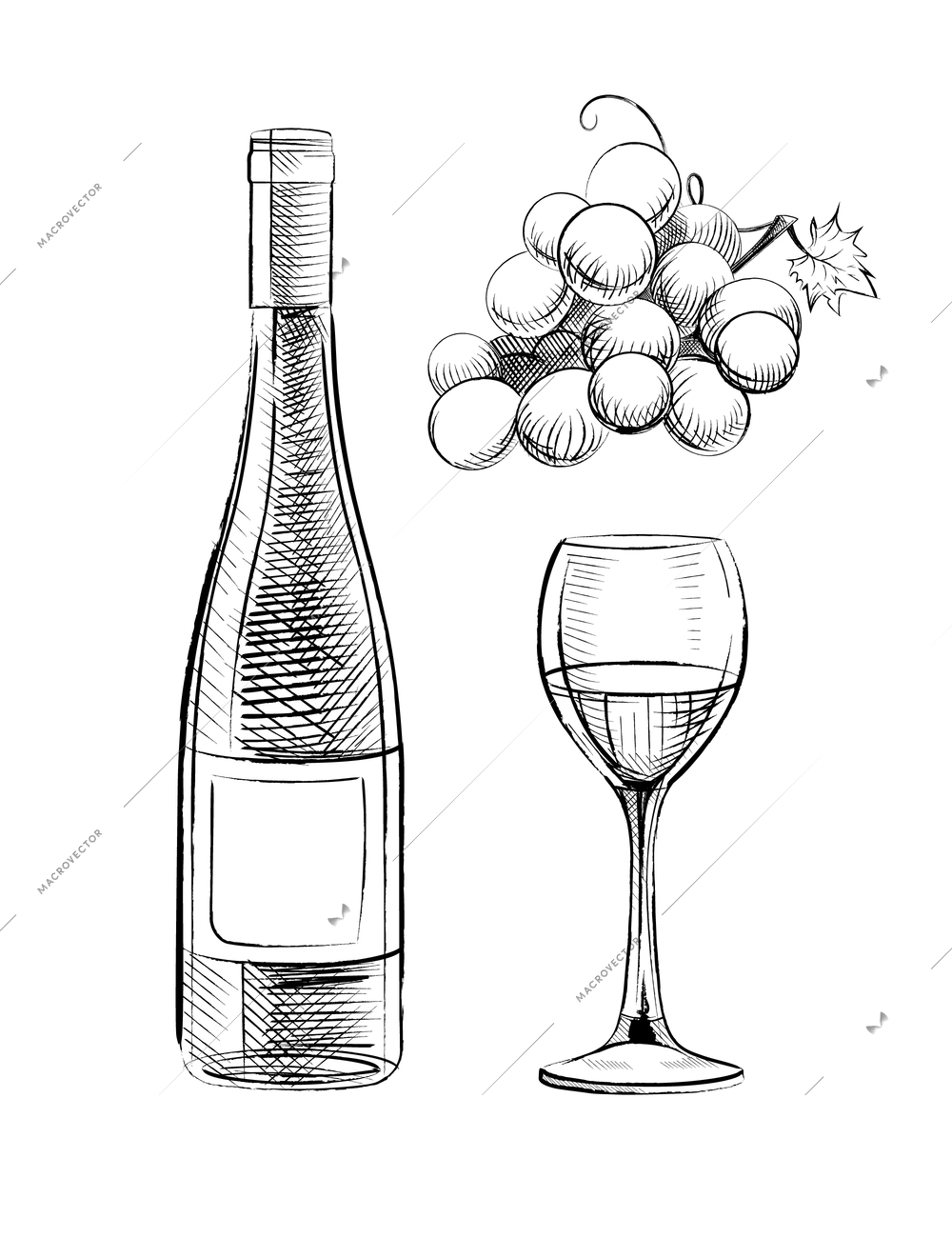 Hand drawn set of wine bottle glass and grape vine isolated on white background vector illustration