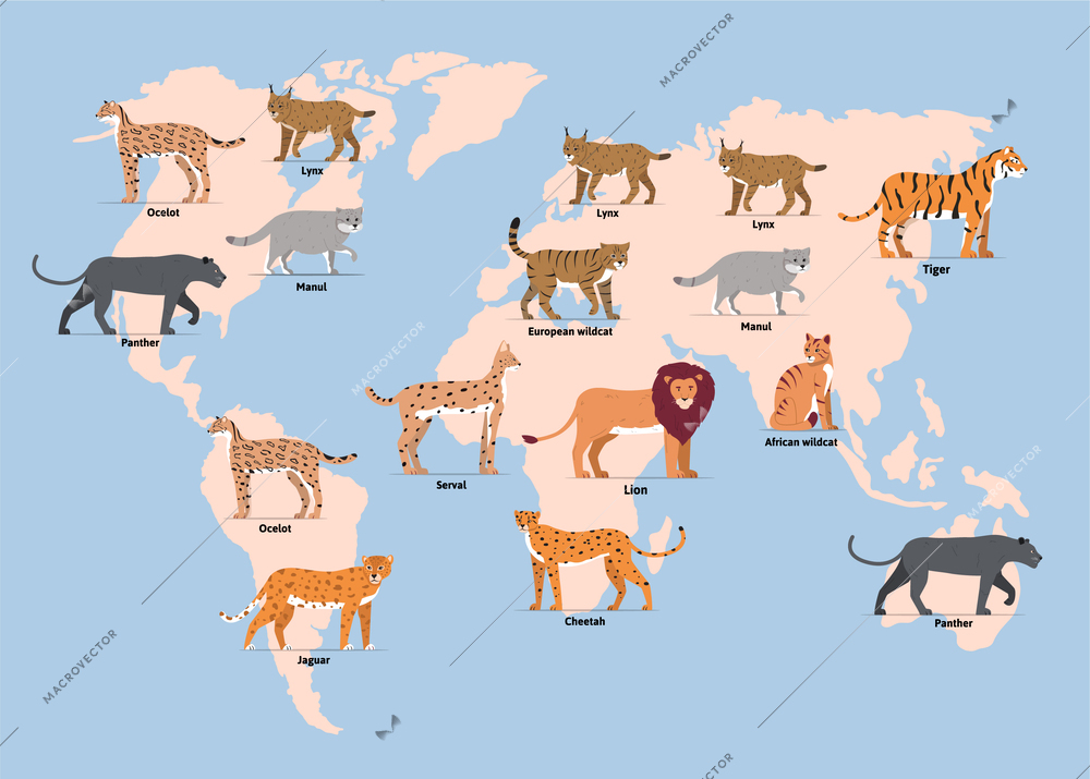 Wild cats world map flat composition with map of world with icons of cat family felines vector illustration