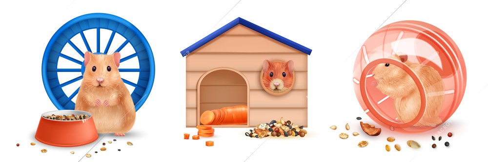 Realistic hamster compositions set with pet house and playing wheel isolated vector illustration