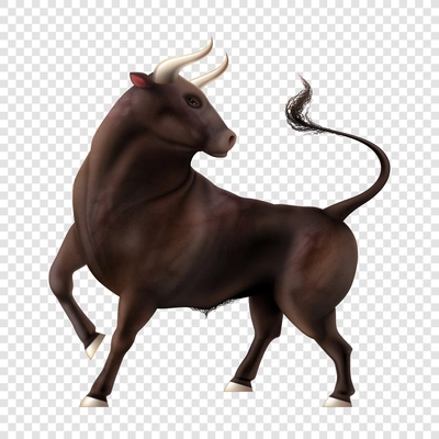 Color bull realistic composition with isolated image of animal with tail and horns on transparent background vector illustration