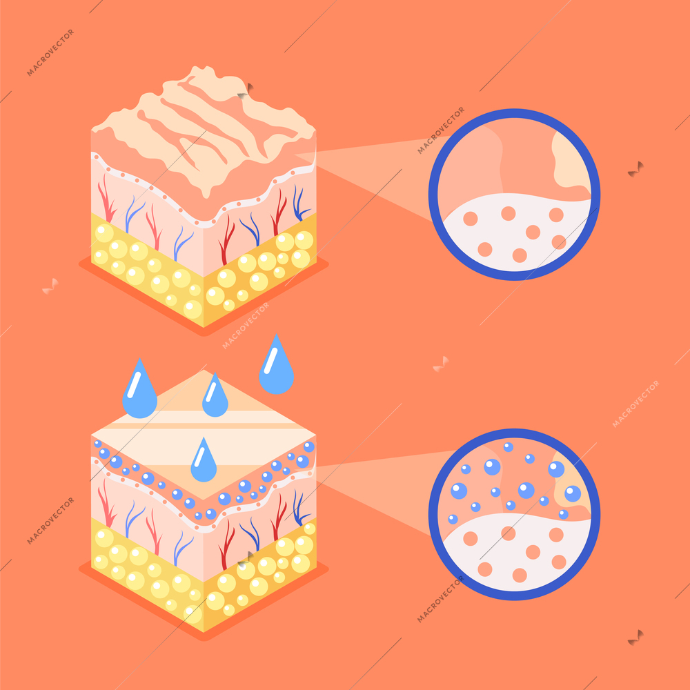 Hyaluronic acid isometric background with composition of profile view cubes representing skin structure layers round icons vector illustration