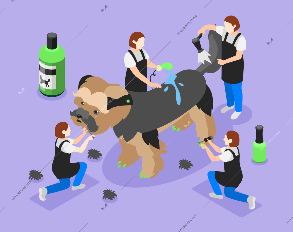 Grooming salon isometric background composition with little human characters of pet beauty salon workers with dog vector illustration