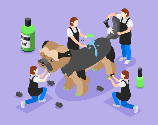 Grooming salon isometric background composition with little human characters of pet beauty salon workers with dog vector illustration