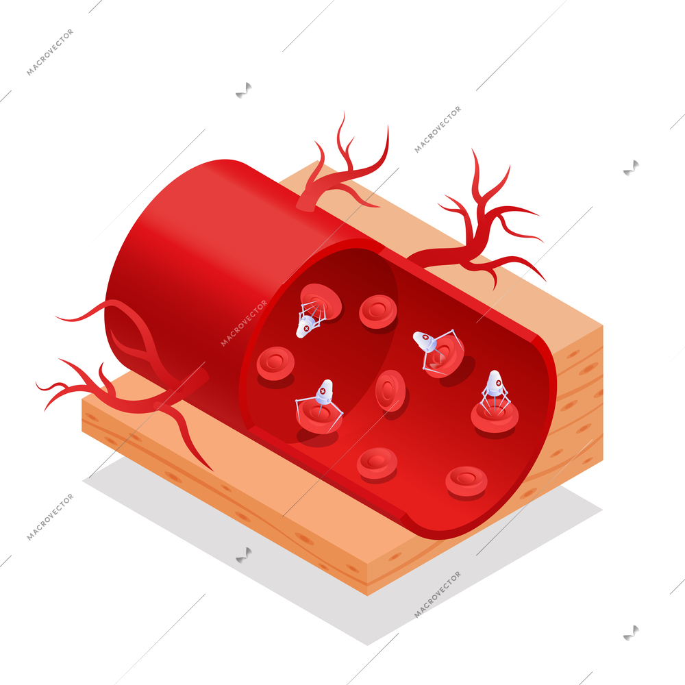 Isometric futuristic nanotechnology nanomedicine concept with blood robots in artery 3d vector illustration