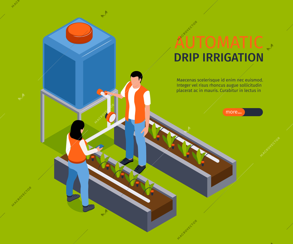 Automatic drip irrigation banner depicting watering system for seedlings isometric vector illustration