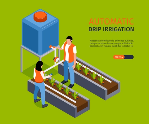 Automatic drip irrigation banner depicting watering system for seedlings isometric vector illustration