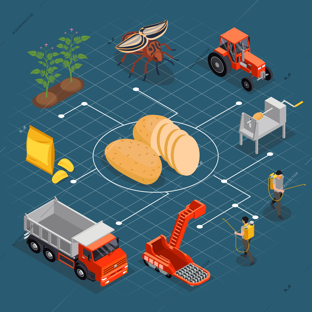 Potato chips production isometric composition with flowchart of isolated images with people machinery plants and chips vector illustration