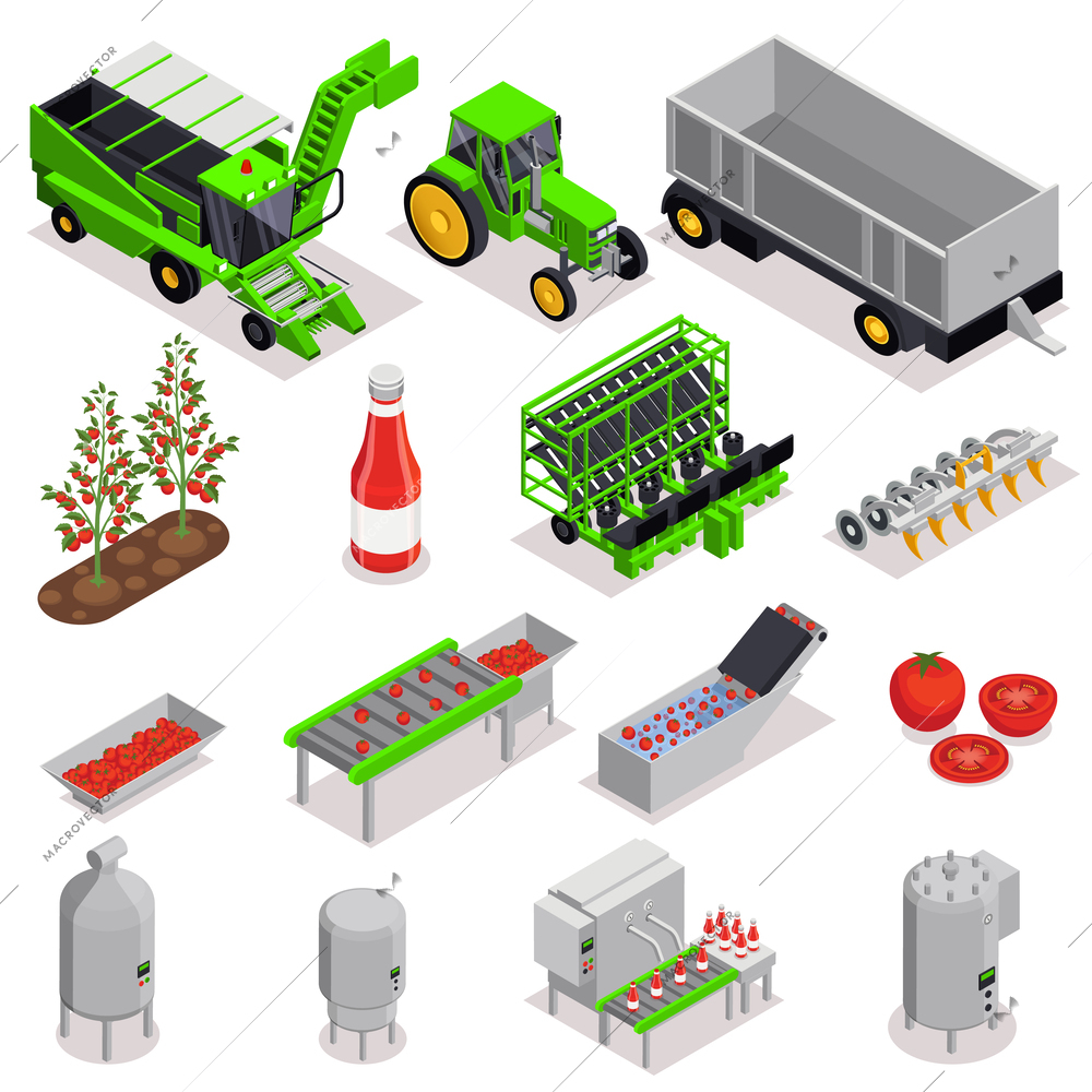 Tomatoes production isometric set with isolated icons of storage tanks lines combine harvesters and ready products vector illustration