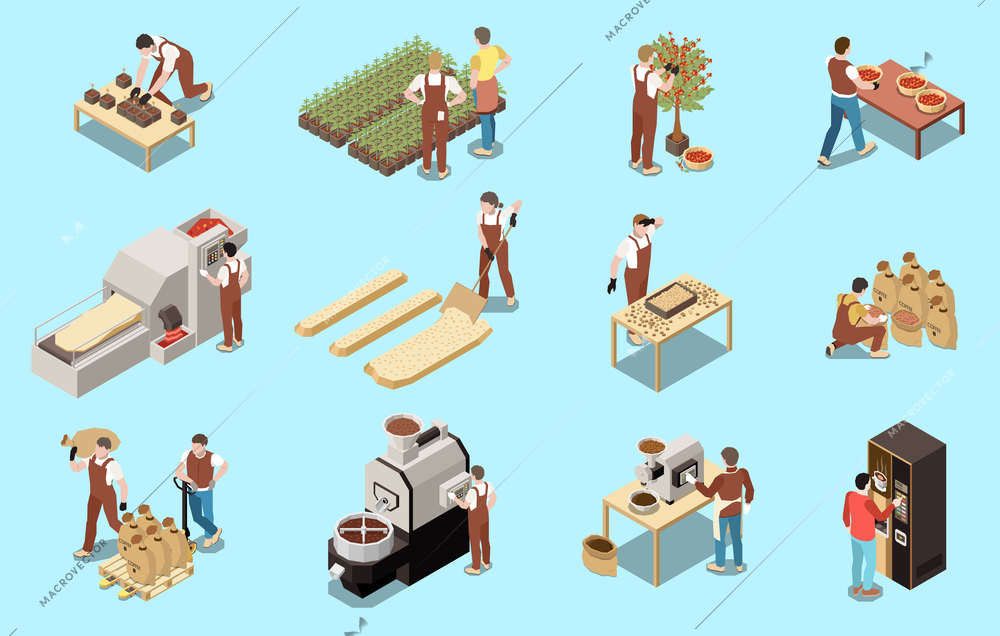 Coffee production industry isometric set of machinery for drying beans grain roasting grinding and cooking isolated vector illustration