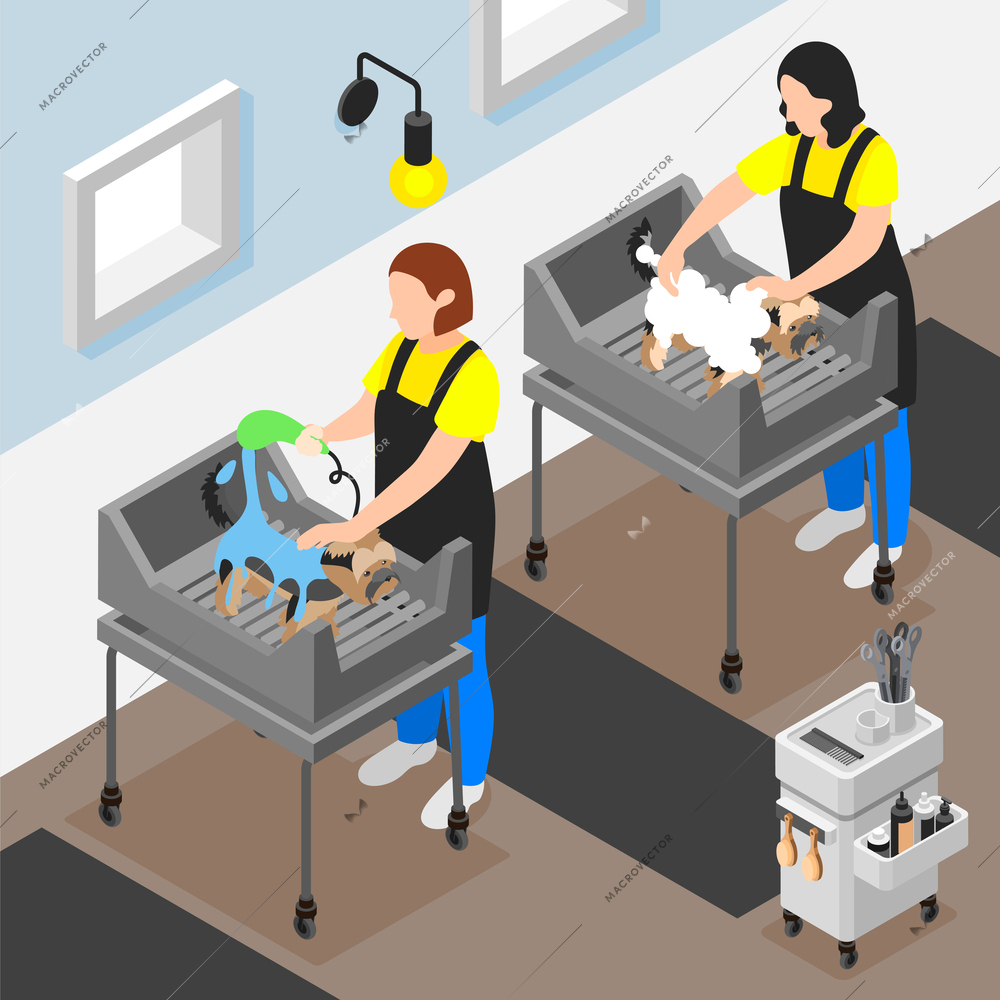 Grooming salon isometric background with composition of indoor view with female characters of workers washing dogs vector illustration