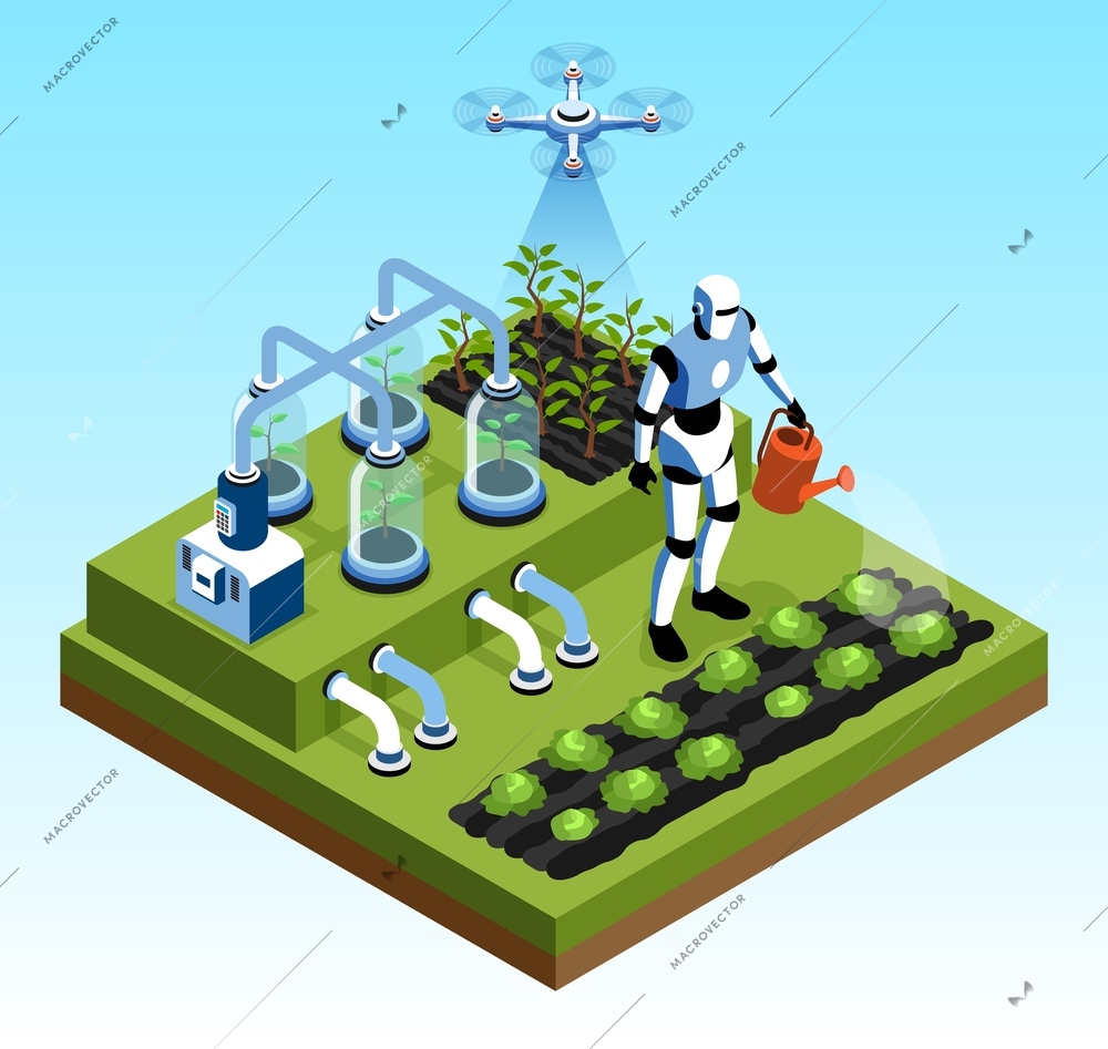 Isolated isometric smart farm isolated concept robots grow and water plant beds vector illustration