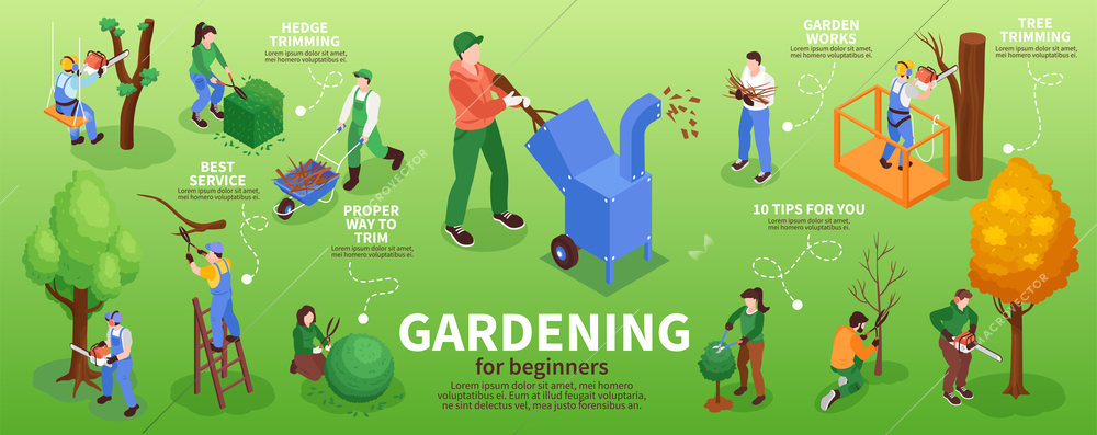 Garden workers infographic set with hedge trimming symbols isometric vector illustration