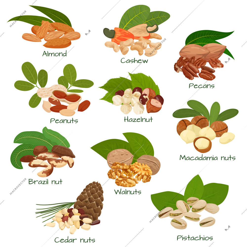 Nuts and seeds flat set with isolated bunches of cashew walnuts hazelnuts peanuts pecans and pistachios vector illustration