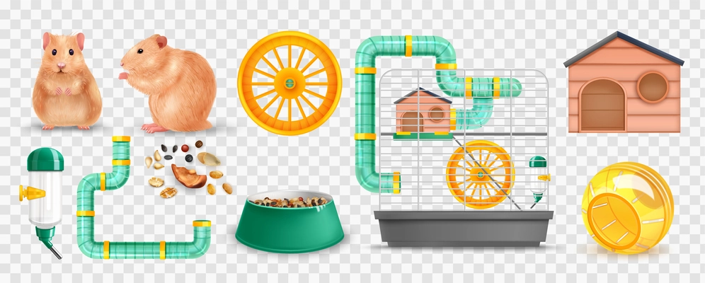 Realistic hamster and pet equipment icons set on transparent background isolated vector illustration