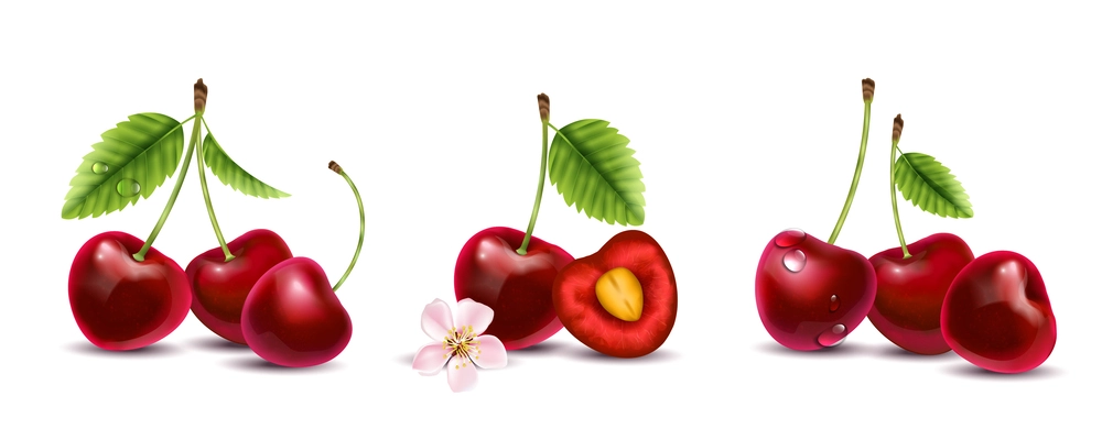 Realistic cherry set of isolated compositions with wet berries green leaves on stalks drops and flowers vector illustration