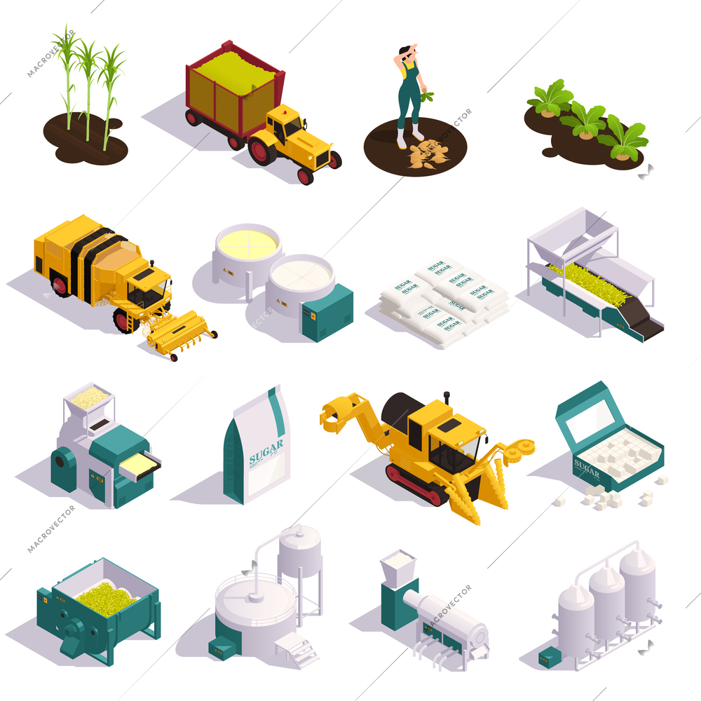 Sugar production isometric set of equipment for harvesting and processing cane and beet sugar isolated vector illustration