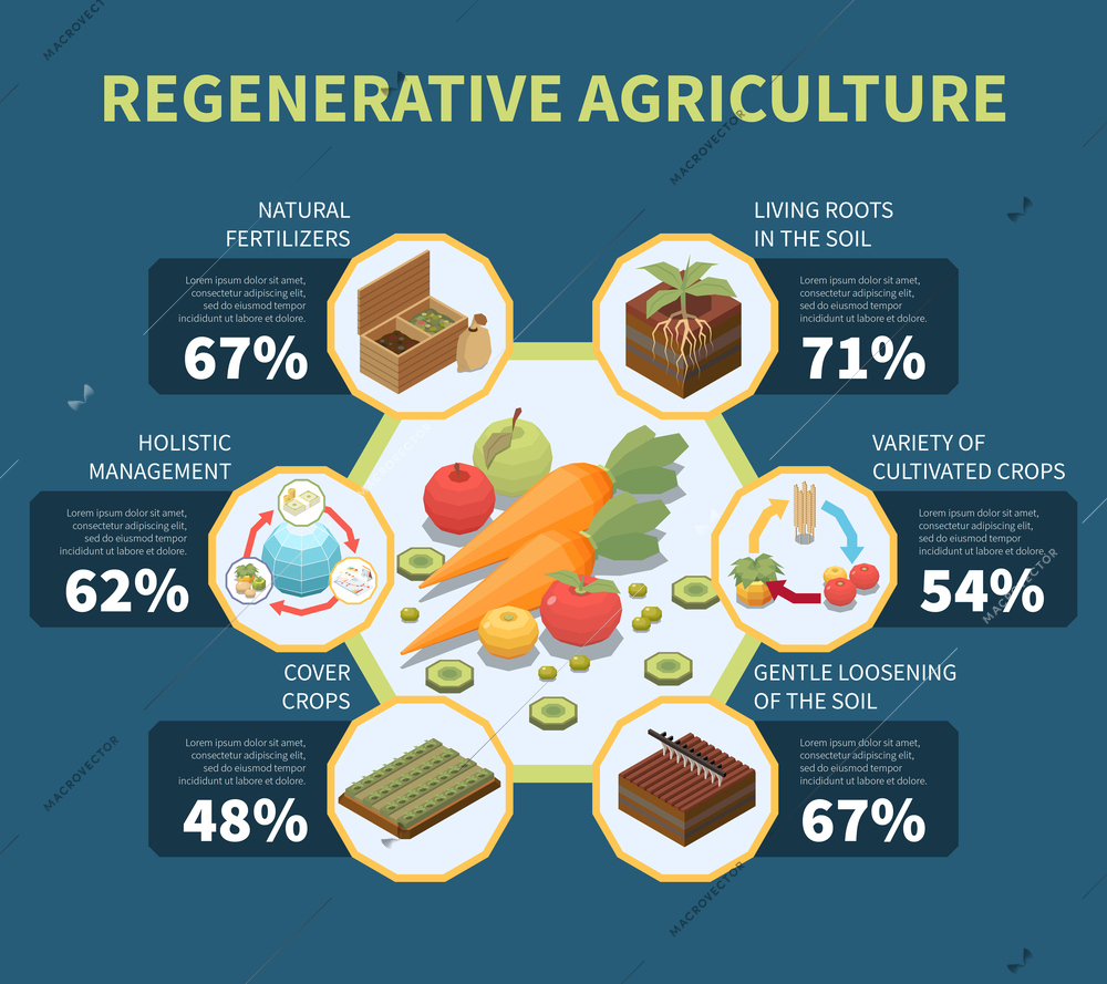 Regenerative agriculture infographics with permaculture holistic management principals and statistic template vector illustration