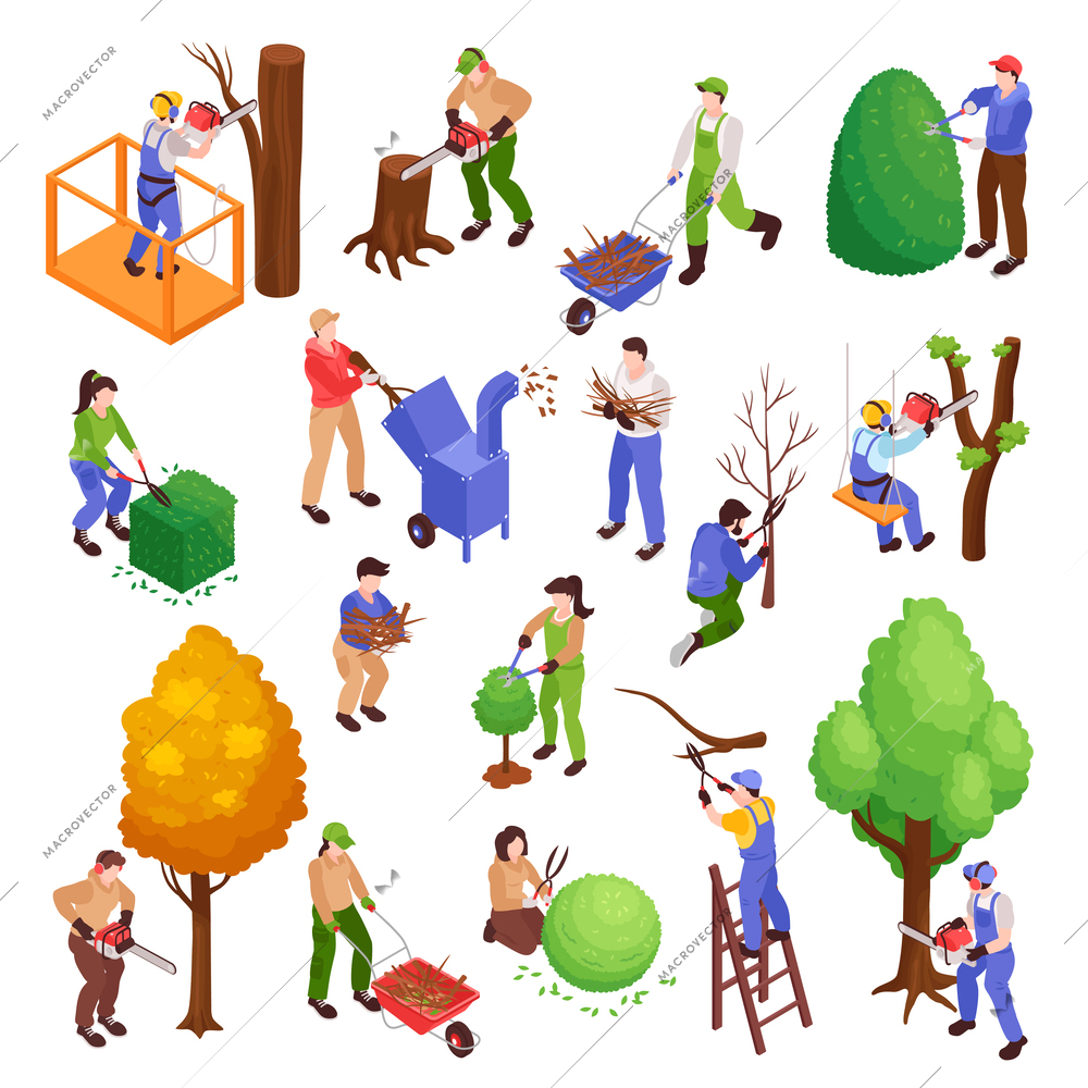 Garden workers set with trimming symbols isometric isolated vector illustration