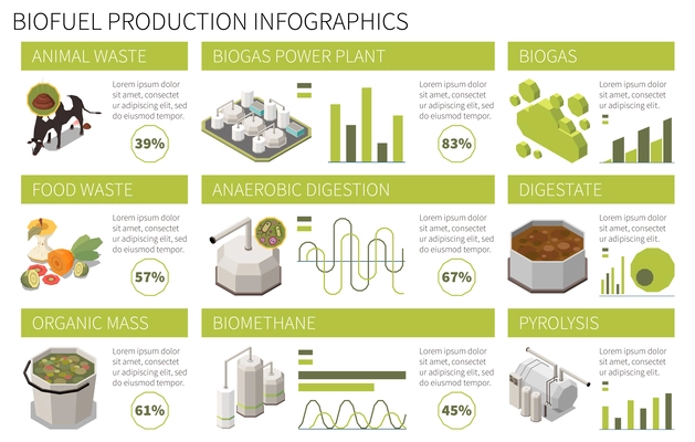 Isometric biofuel production horizontal infographics with animal waste anaerobic digestion biogas power plant percentage 3d vector illustration