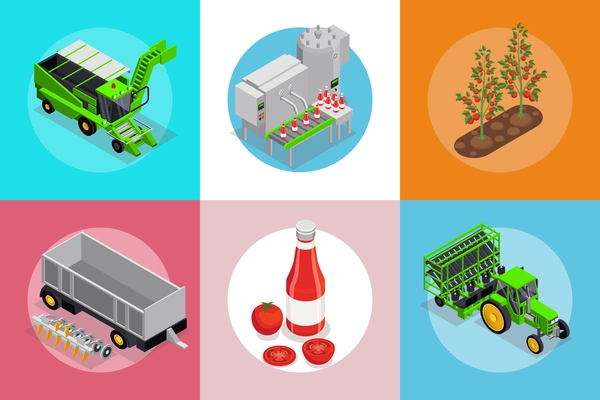 Tomatoes production isometric set of square compositions with trees factory lines tractor ketchup and cut vegetables vector illustration