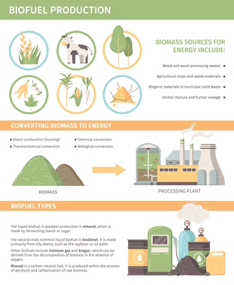 Biofuel production infographics template including biomass sources converting methods biofuel types sections flat vector illustration