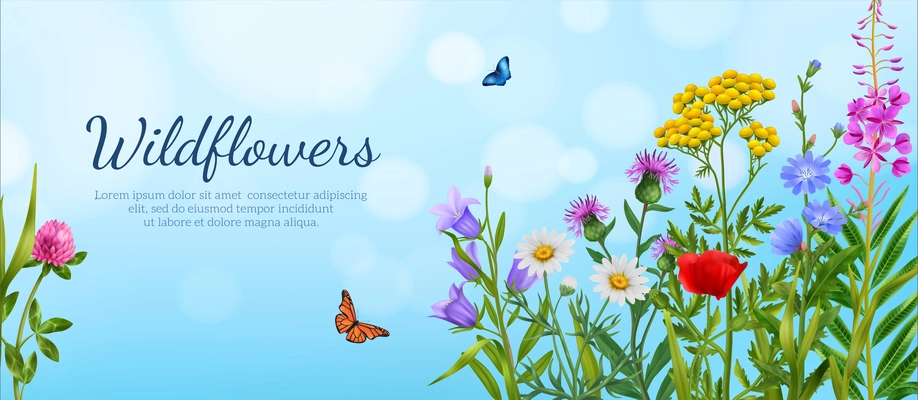 Realistic wildflowers poster with colorful flowers with flying butterfies on blue sky background vector illustration